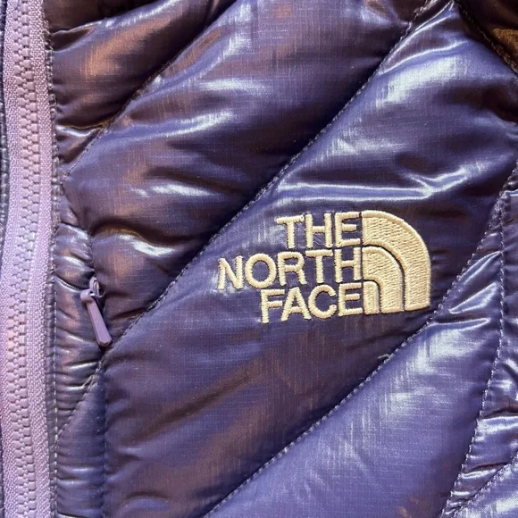 The North Face Purple Flight Series Jacket - Picture 7 of 10